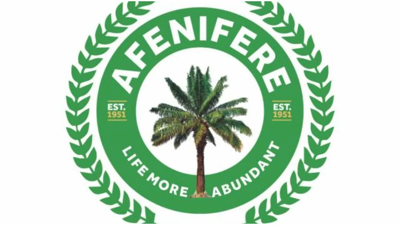 Afenifere condemns arrest