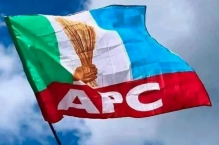 Tinubu hails APC primaries2